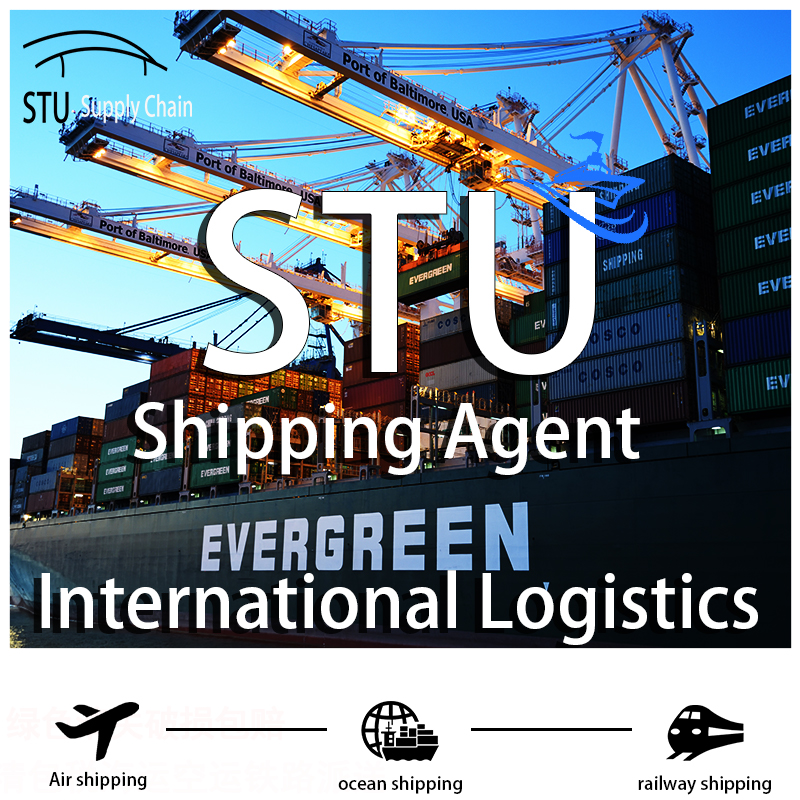 Export Customs Declaration & Import Customs Clearance From Shenzhen Port, China