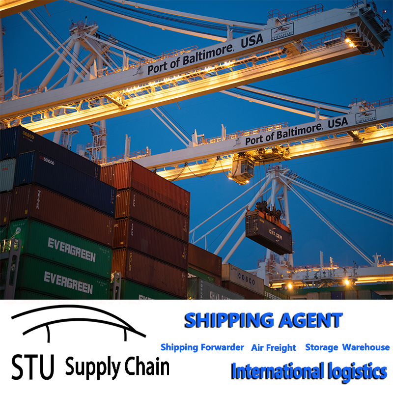 Machines and Equipments Ocean Shipping Forwarder for Container and Consolidation Cargo Freight