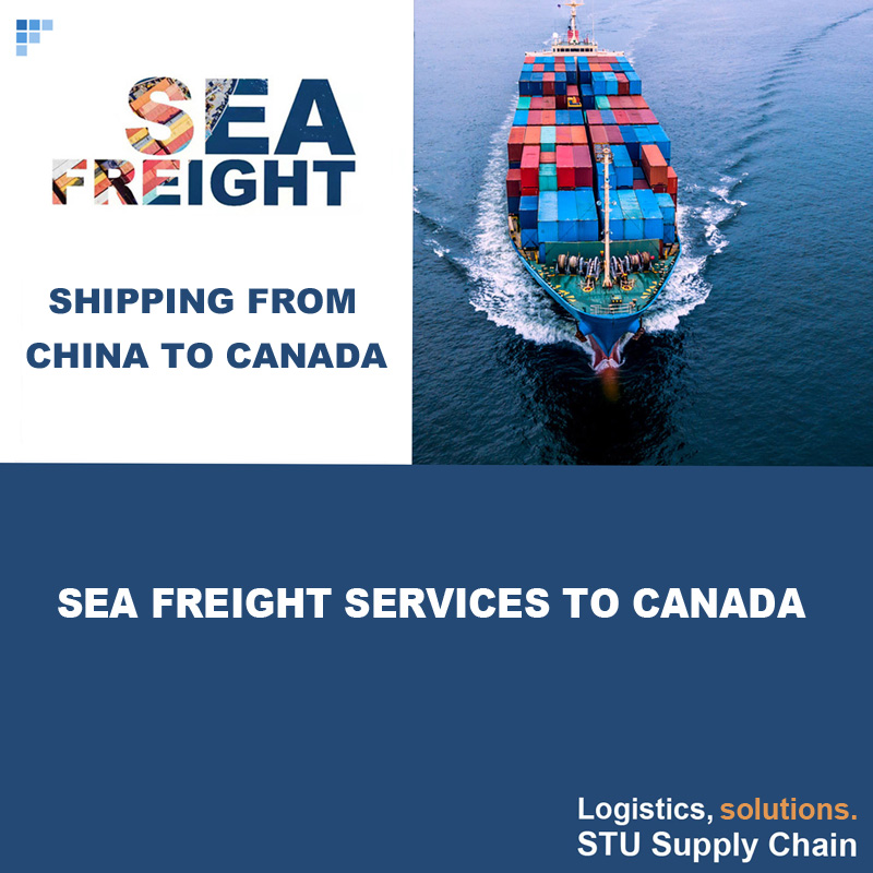 Sea Freight from China to Canada | FCL Shipping | LCL Shipment | Door to Door Service